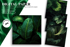 Tropical Leaves Background Monstera Wallpaper Backdrop_23 Product Image 1