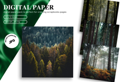 Snow Forest Background Christmas Pine Tree Wallpaper_41 Product Image 1
