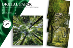 Snow Forest Background Christmas Pine Tree Wallpaper_43 Product Image 1
