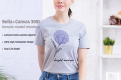 Bella Canvas 3001 Tshirt Mockup Grey Product Image 1