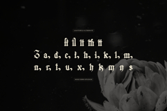 Bellanork | Blackletter Typeface Product Image 12