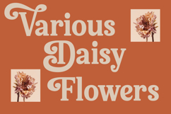 Bellati Nortils - Groovy Serif Font Product Image 10