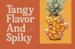 Bellati Nortils - Groovy Serif Font Product Image 14