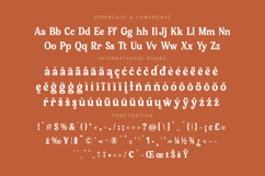 Bellati Nortils - Groovy Serif Font Product Image 19
