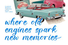 Bellfast Telford - Modern Bold Script Product Image 10