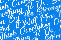 Bellfast Telford - Modern Bold Script Product Image 14