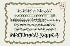 Bellsshake Modern Handwritten Font Product Image 13