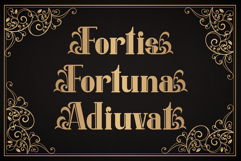 Belmotha Majoris | Display Decorative Product Image 6