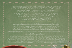 Belon Fine Kanteris - Monoline Handwritten Font Product Image 15