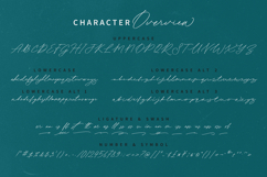 Beloved Harmony - Handwritten Font Product Image 8