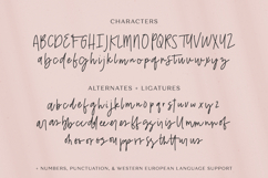 Belovedly Script Product Image 10