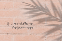 Belovedly Script Product Image 4