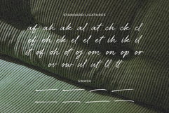 Belovina - Handwritten Script Font Product Image 13