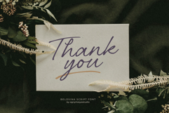 Belovina - Handwritten Script Font Product Image 14