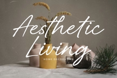 Belovina - Handwritten Script Font Product Image 8