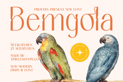 Bemgola - Modern Display Font Product Image 1