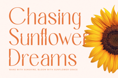 Bemgola - Modern Display Font Product Image 11