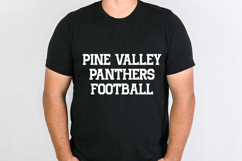 Benchwarmer Sports Font Family Product Image 4