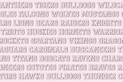 Benchwarmer Sports Font Family Product Image 5