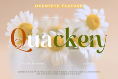 Bengaline | A Elegant Serif Font With Two Styles Product Image 10