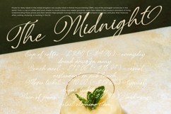 Benthisa - Stylish Calligraphy Font Product Image 16