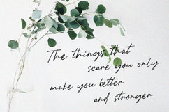 Beny Gallaher Elegant Signature Handwritten Script Font Product Image 4