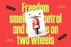 Beqarins  Sans Serif Tall Product Image 14
