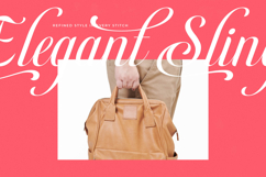 Berishye - Elegant Script Font Product Image 2