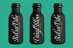 Berishye - Elegant Script Font Product Image 3