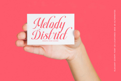 Berishye - Elegant Script Font Product Image 16