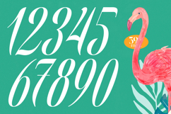 Berishye - Elegant Script Font Product Image 17