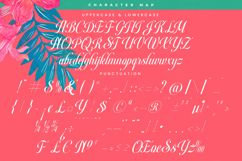 Berishye - Elegant Script Font Product Image 18