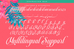 Berishye - Elegant Script Font Product Image 19