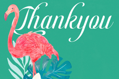 Berishye - Elegant Script Font Product Image 20