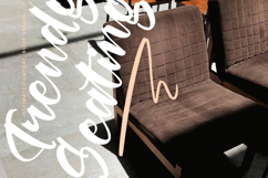 Berlin Travels - Bold Calligraphy Script Product Image 5