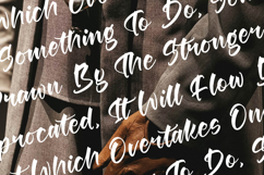 Berlin Travels - Bold Calligraphy Script Product Image 9