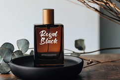Berlin Travels - Bold Calligraphy Script Product Image 12