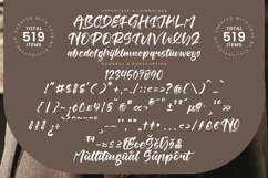 Berlin Travels - Bold Calligraphy Script Product Image 18