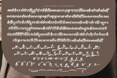 Berlin Travels - Bold Calligraphy Script Product Image 19