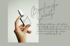 Berlinda Werni a Elegant Monoline Script Font Product Image 4