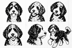 Bernedoodle SVG Bundle, 12 Dog Poses PNG DXF AI EPS Product Image 3