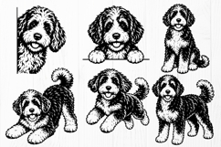 Bernedoodle SVG Bundle, 12 Dog Poses PNG DXF AI EPS Product Image 2