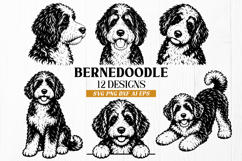 Bernedoodle SVG Bundle, 12 Dog Poses PNG DXF AI EPS Product Image 1