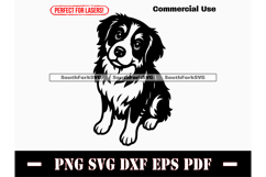 Bernese Mountain Dog Begging Design SVG PNG DXF EPS PDF Product Image 1