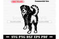 Bernese Mountain Dog Butt SVG PNG DXF EPS PDF Product Image 1