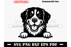 Peeking Bernese Mountain Dog SVG PNG DXF EPS PDF Product Image 1