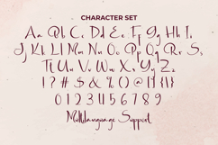 Berry Jam Font Product Image 5