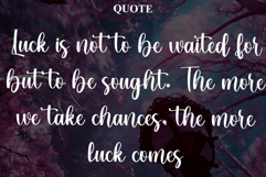 Berry Smoothie Product Image 4