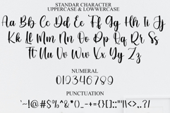 Berry Smoothie Product Image 7