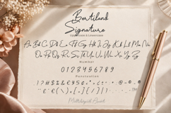 Bertiland Signature a Monoline Script Font Product Image 10